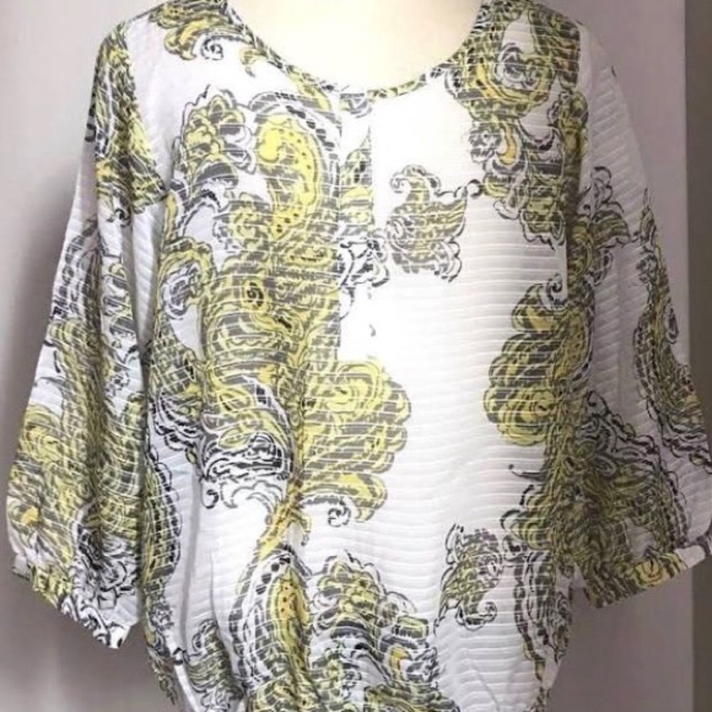 EUC Ann Taylor sheer blouse-XS